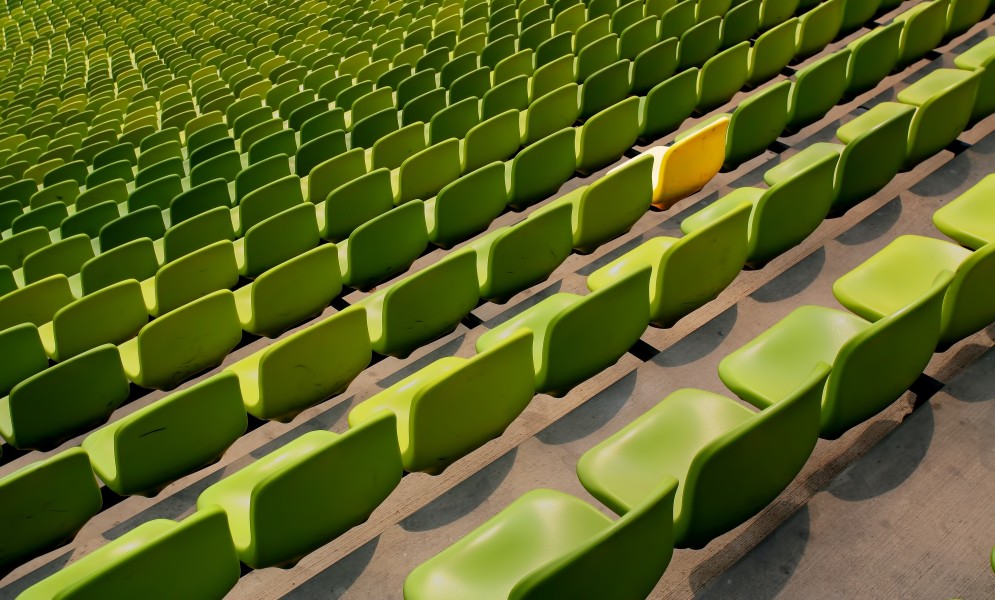 Differentiate or dissipate: What will it be?